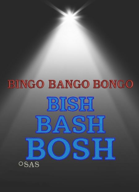 Bluza z haftem – Bingo Bango Bongo Bish Bash Bosh