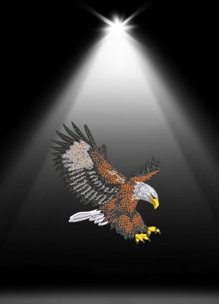 Bluza z haftem – Eagle „Flying Eagle”